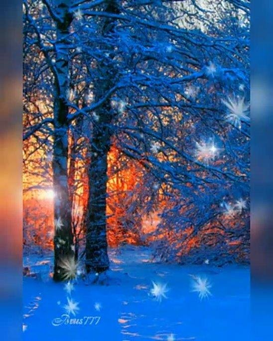 До свидания зима