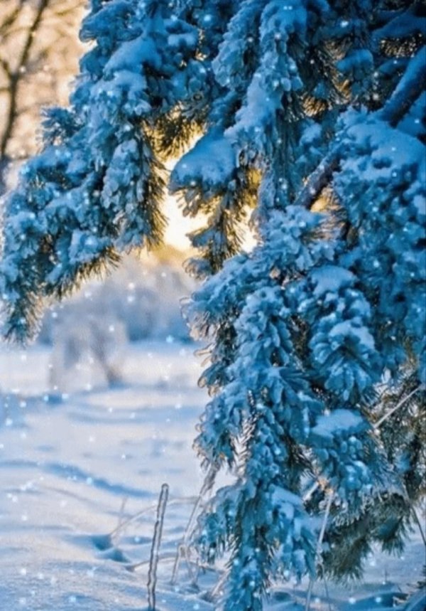 До свидания зима