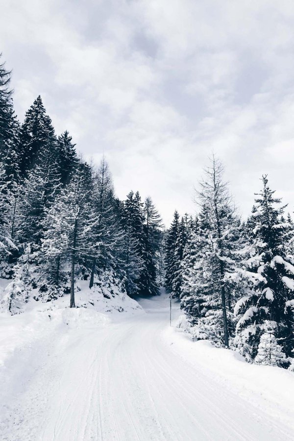 До свидания зима