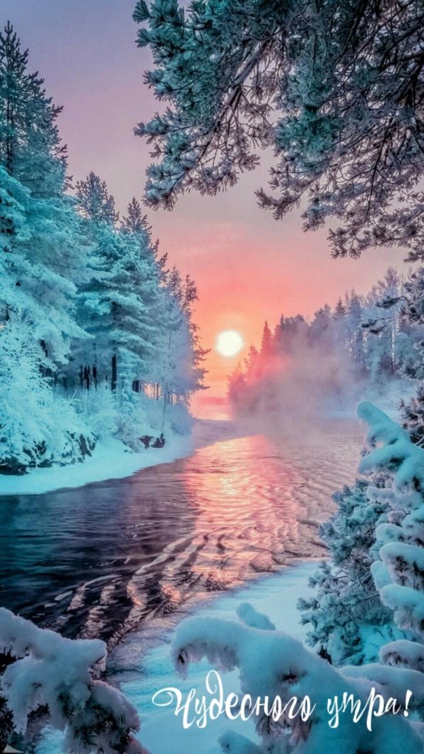 Февральская зима