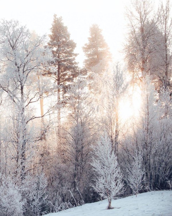 Февральская зима