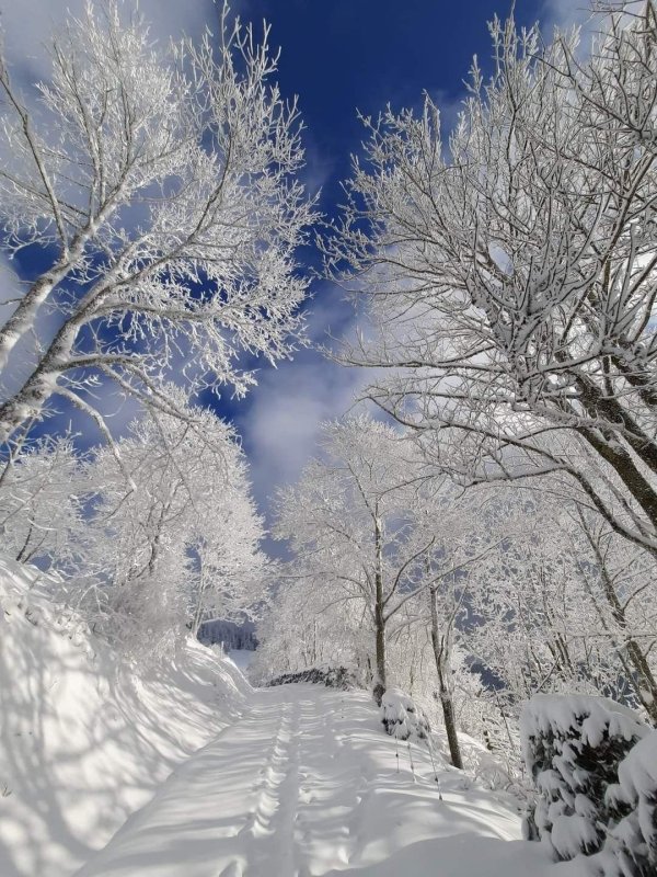 Февральская зима