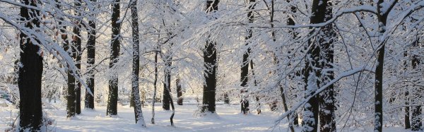 Февральская зима