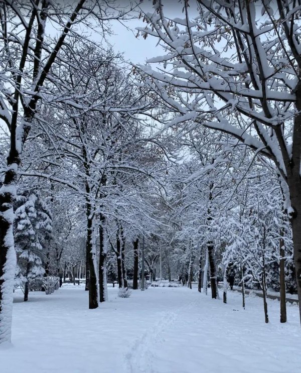 Февральская зима