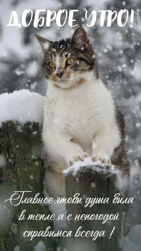 Февральская зима