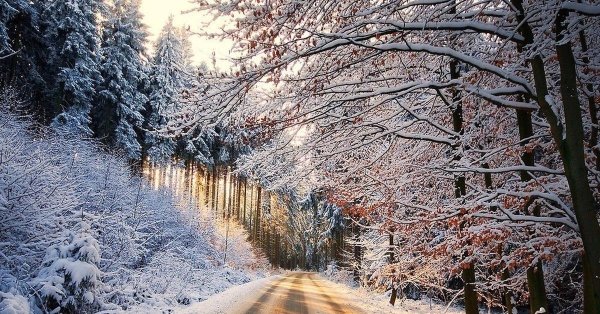 Февральская зима