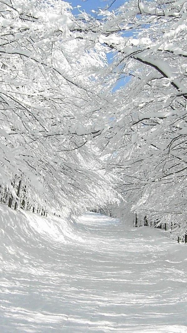 Февральская зима