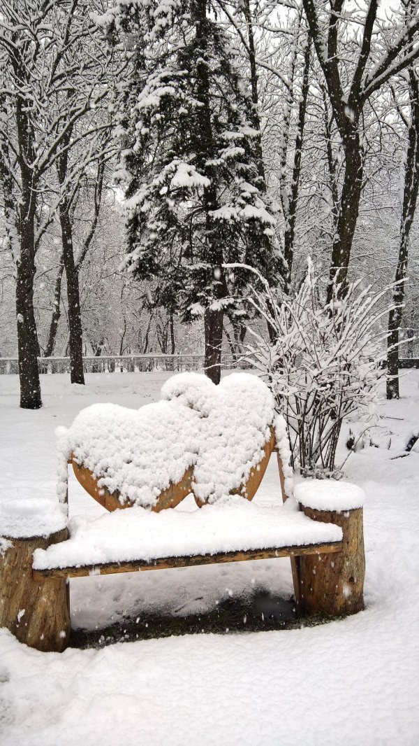 Февральская зима