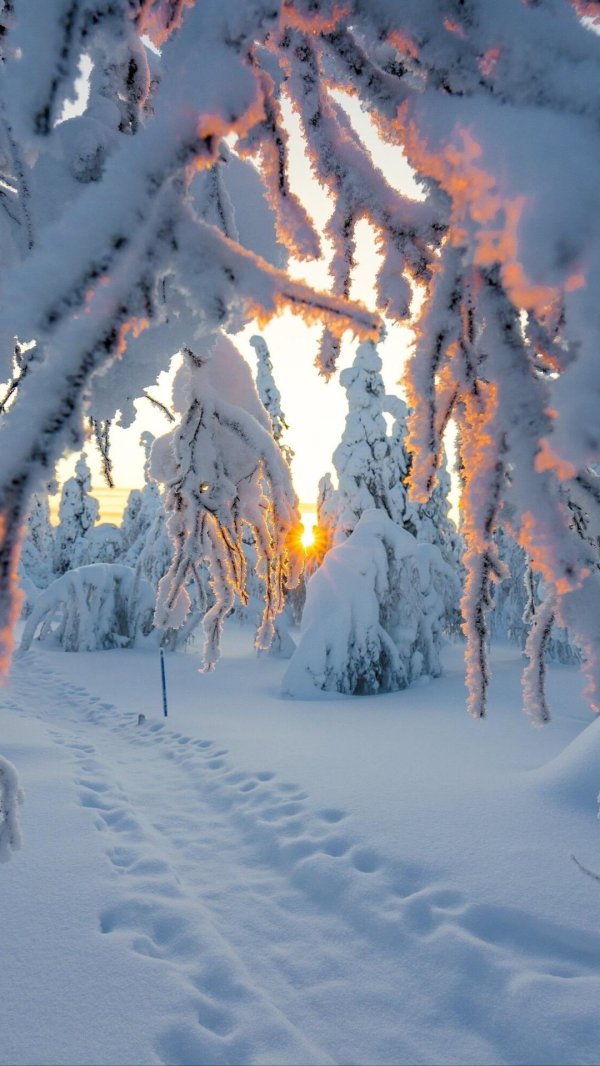 Февральская зима