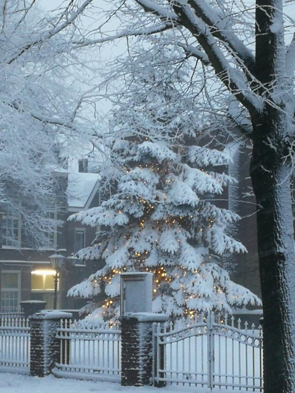 Февральская зима