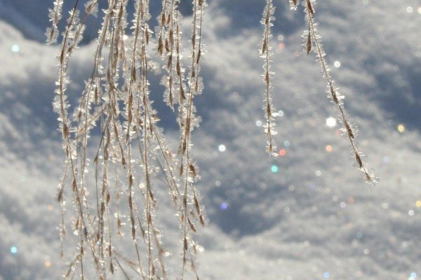 Февральская зима