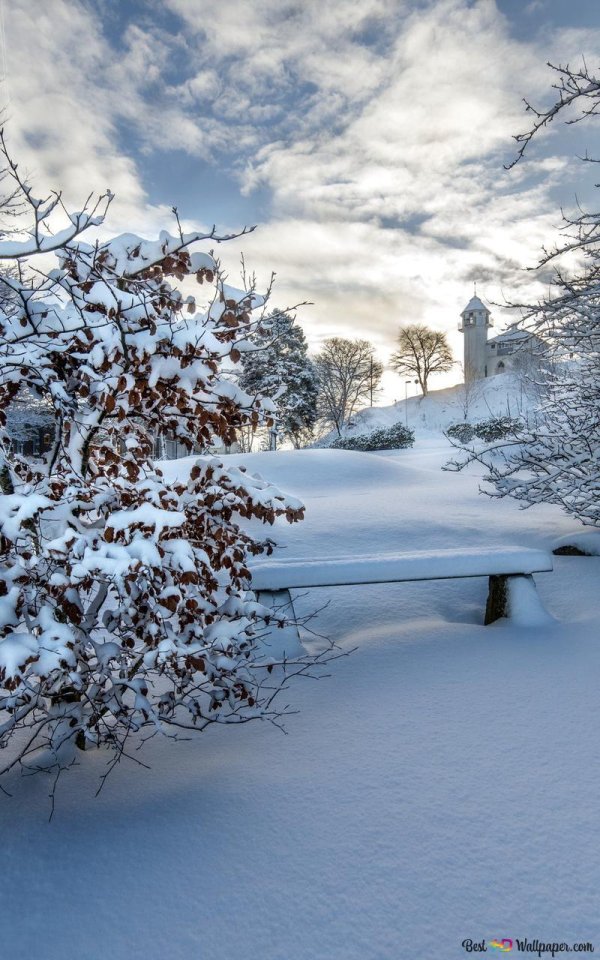 Февральская зима