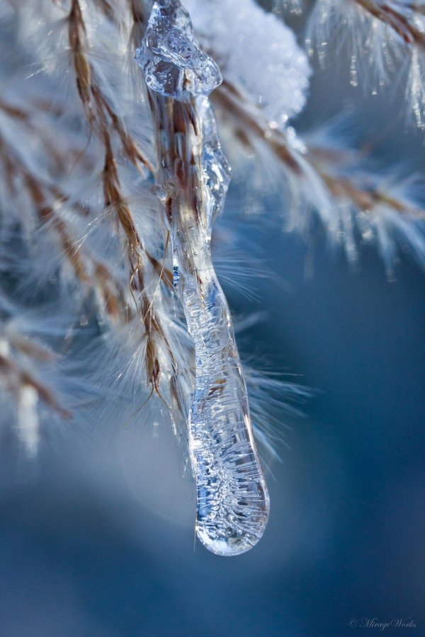 Февральская зима