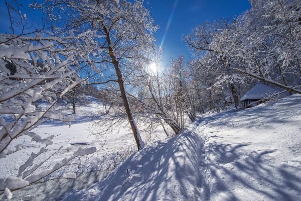 Февральская зима