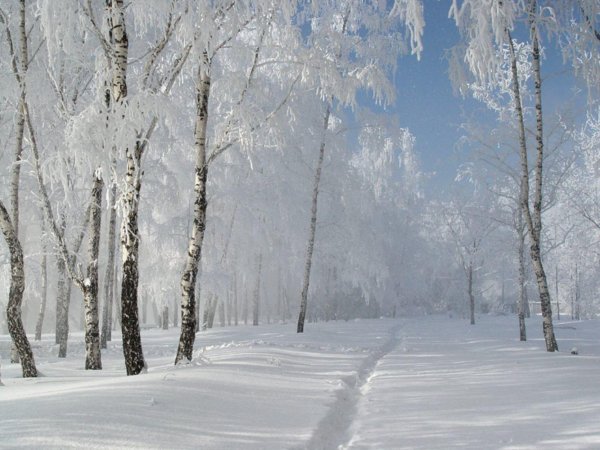 Февральская зима