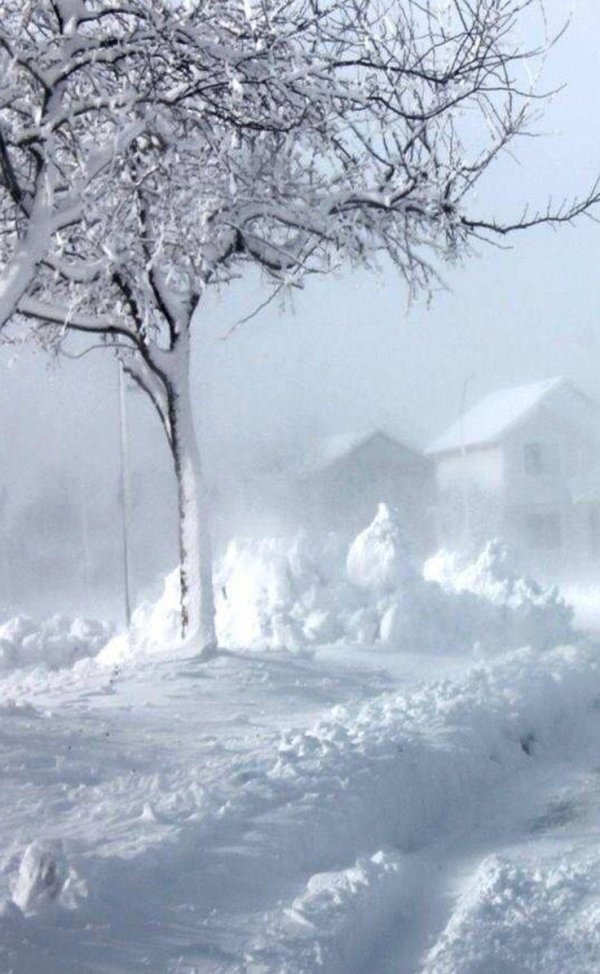 Февральская зима