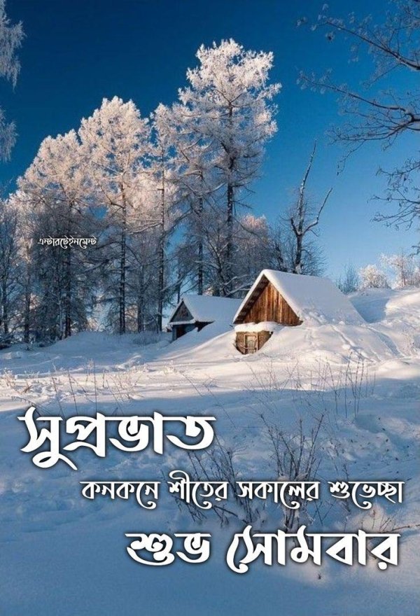 Февральская зима