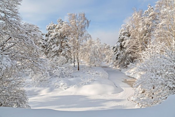 Февральская зима