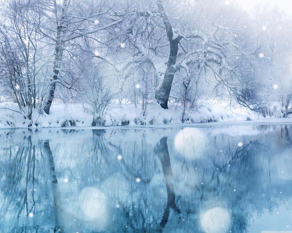 Февральская зима