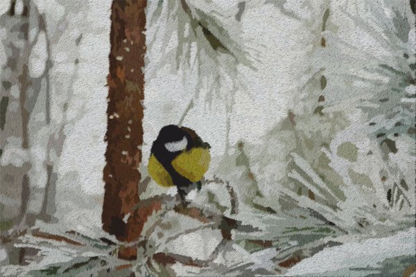 Февральская зима