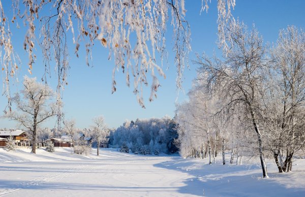 Зимушка зима