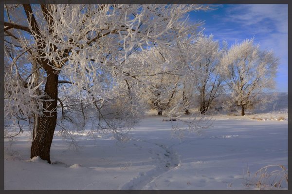 Зимушка зима