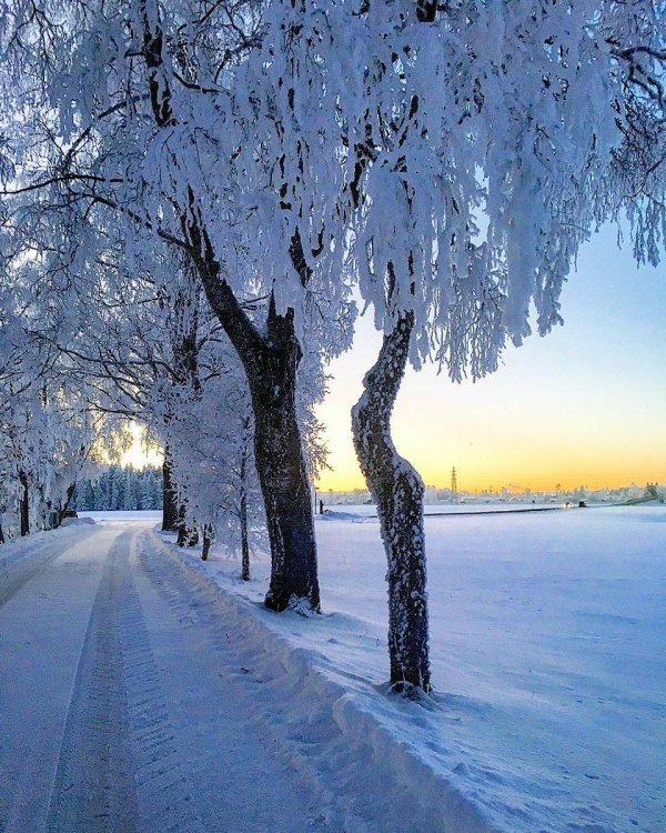 Зимушка зима