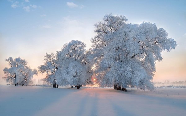 Зимушка зима