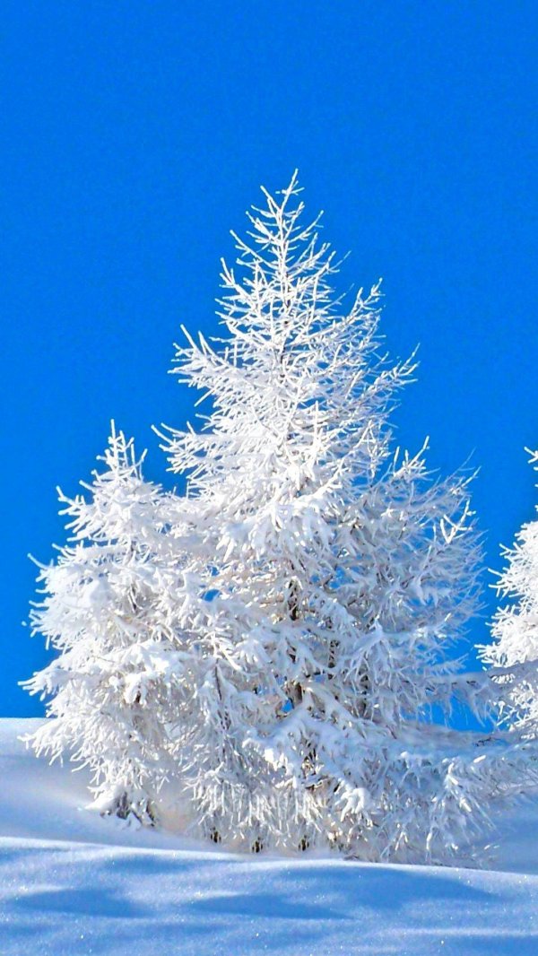 Зимушка зима