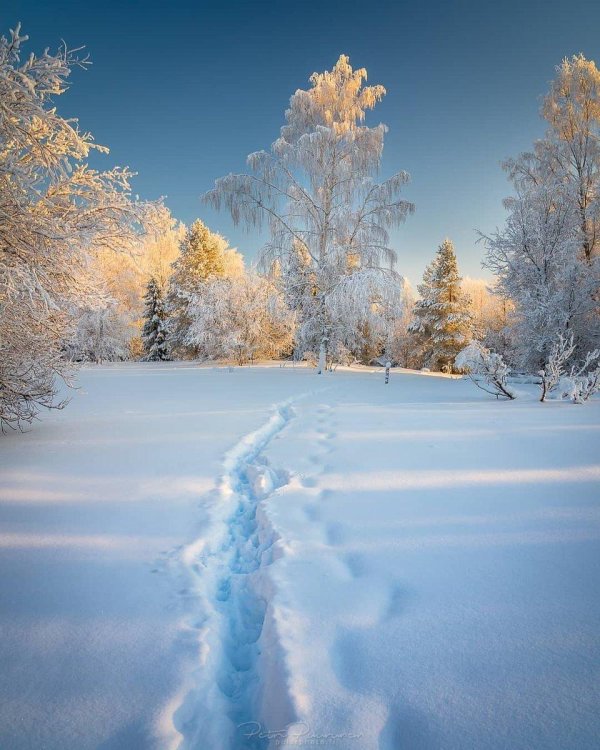 Зимушка зима