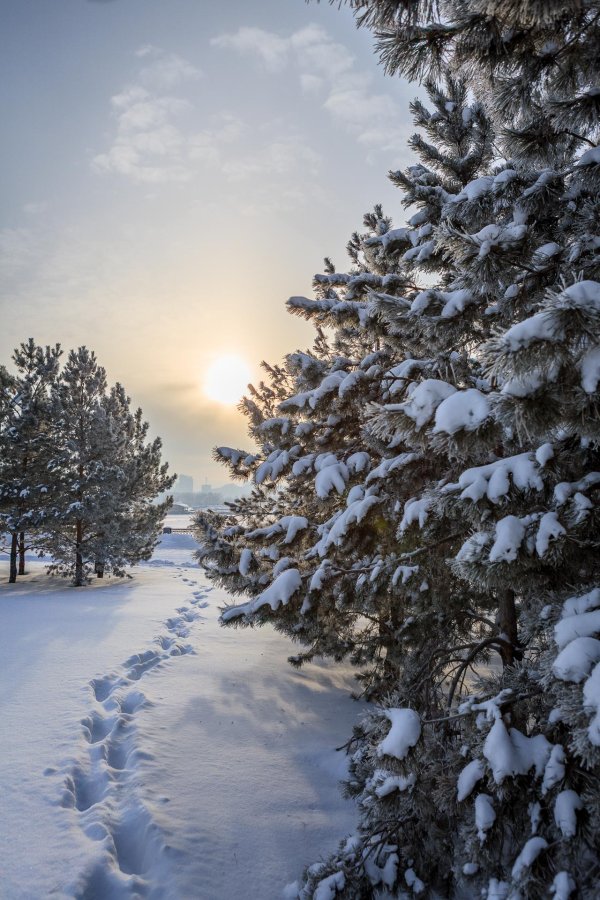 Зимушка зима