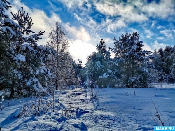 Зимушка зима