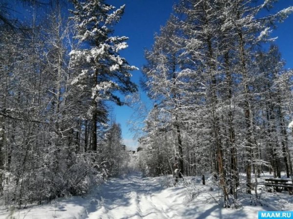 Зимушка зима