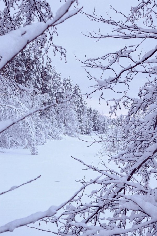 Зимушка зима