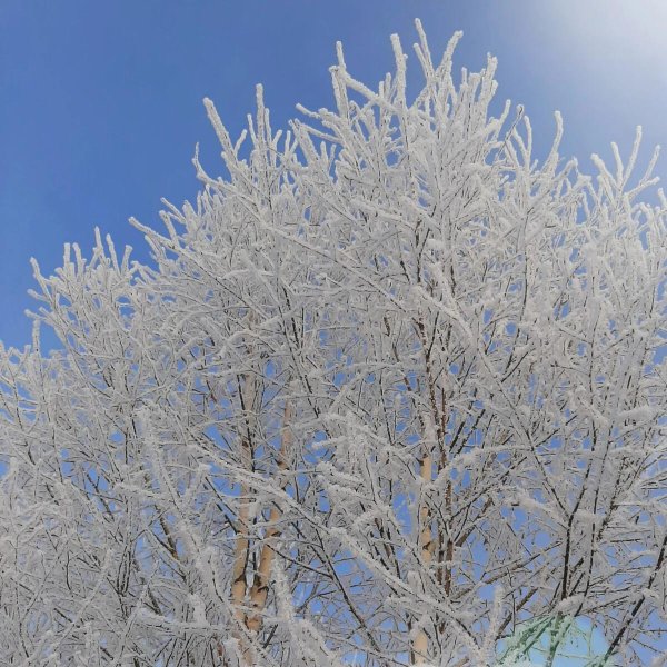 Зимушка зима