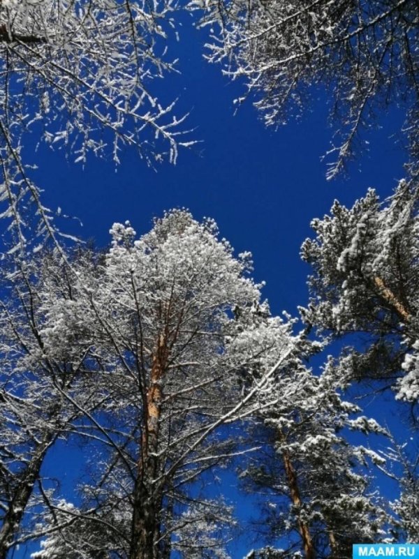 Зимушка зима