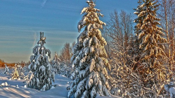 Зимушка зима