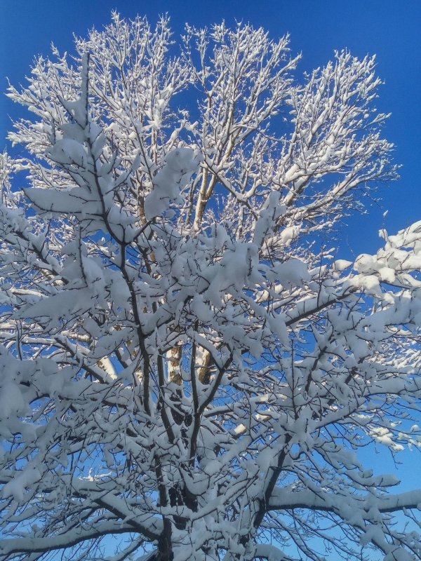 Зимушка зима