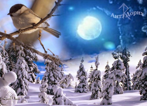 Зимушка зима