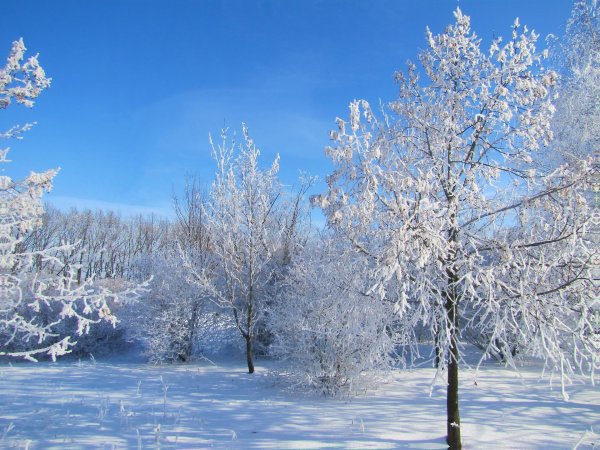 Зимушка зима