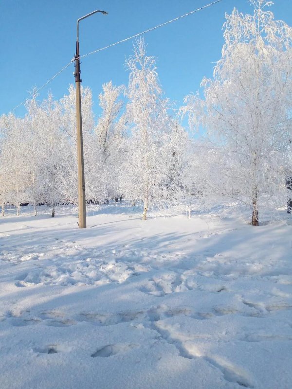 Зимушка зима