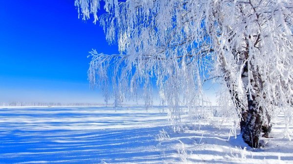 Зимушка зима