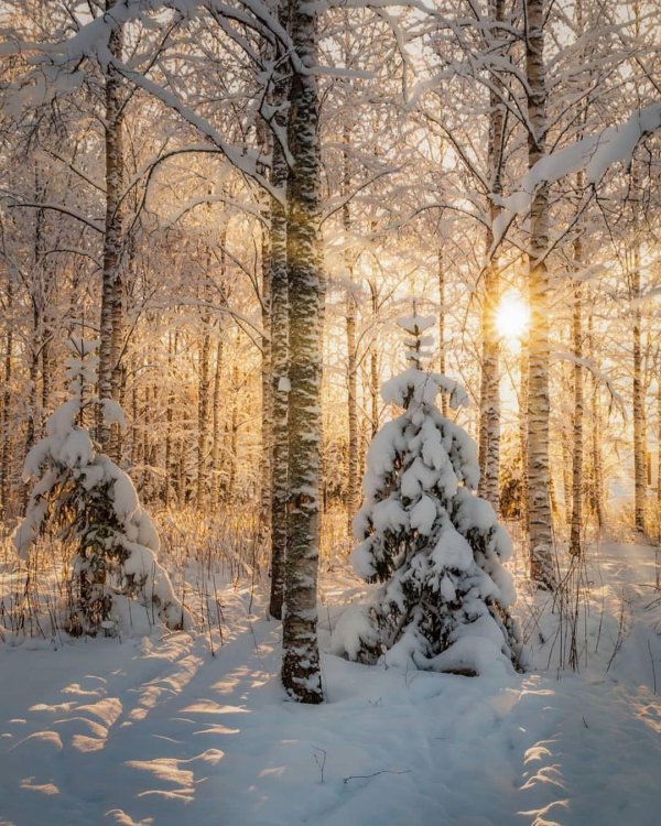 Зимушка зима