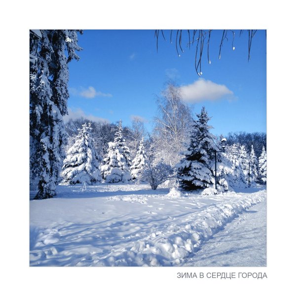 Зимушка зима