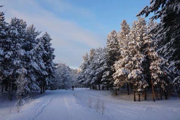 Зимушка зима