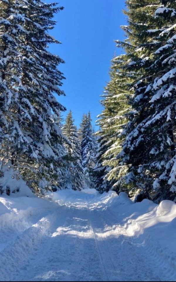 Зимушка зима