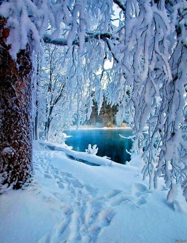 Зимушка зима