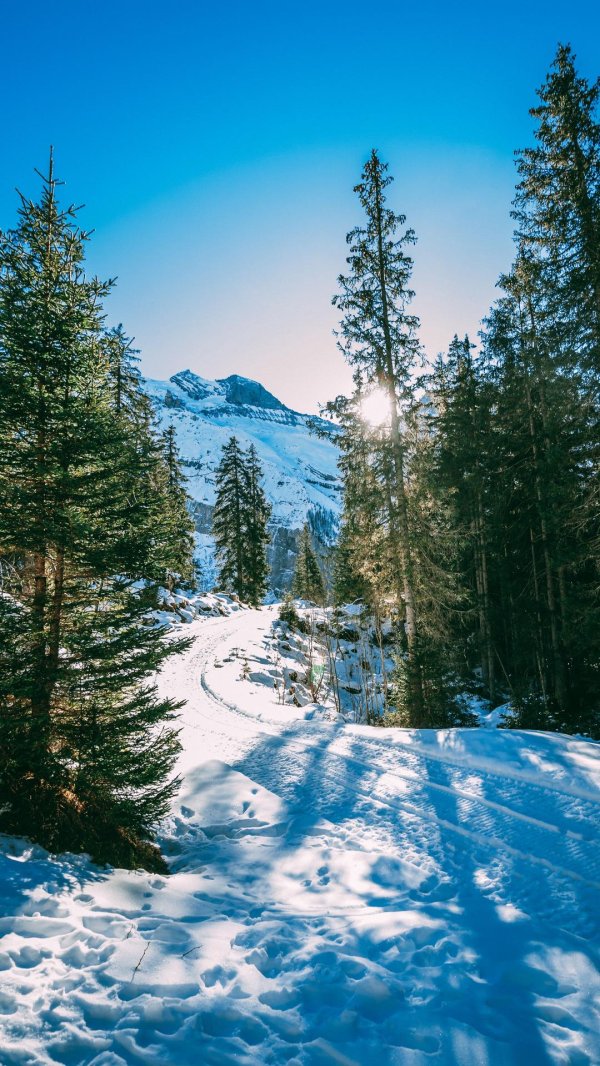 На рабочий стол телефона зима