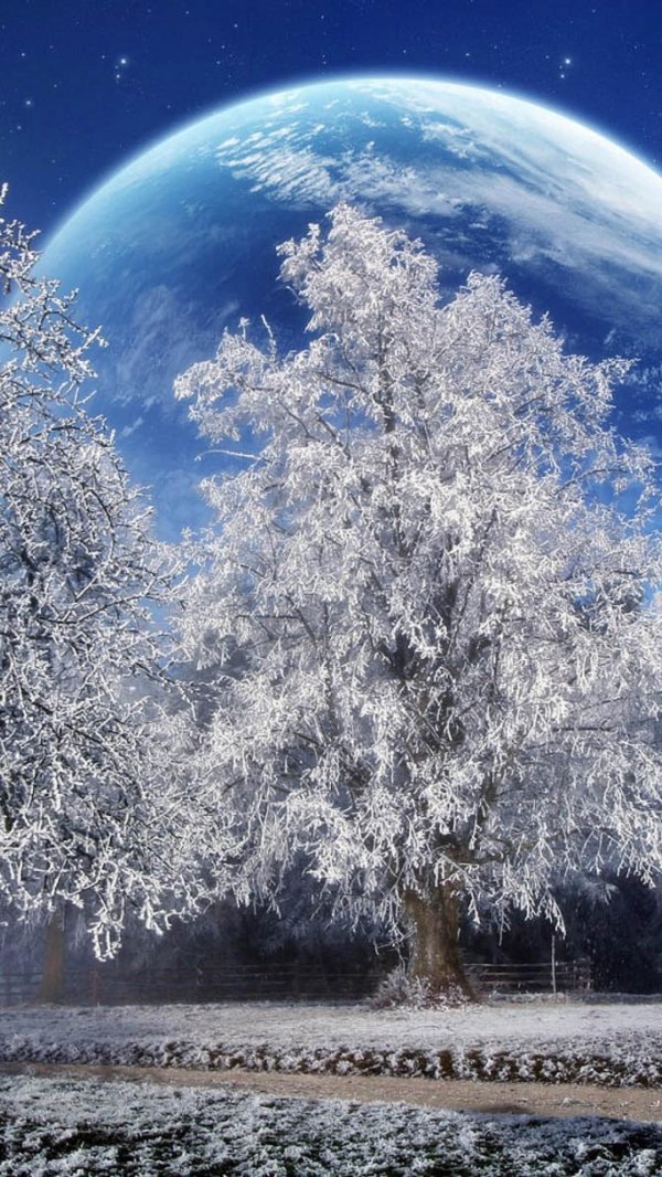 На рабочий стол телефона зима