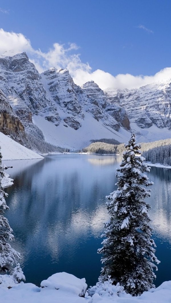 На рабочий стол телефона зима